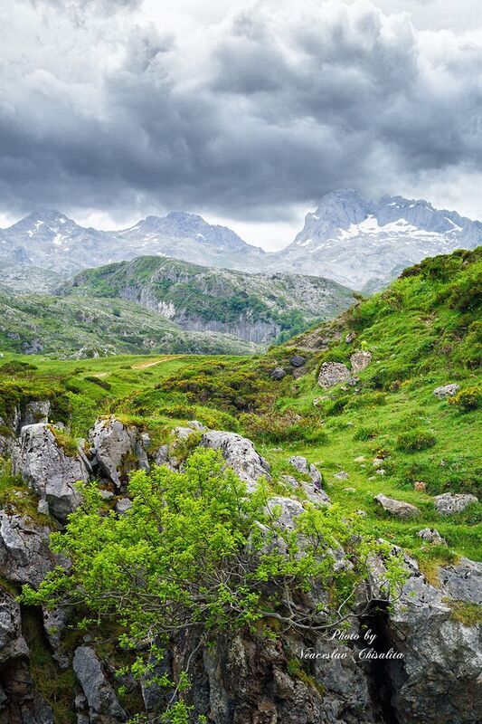 #природа #живописно #горы #поход #летовгорах #пейзаж #тишина #свежийвоздух #диканатура #зелень #вода #природнаямагия #nature #greenescape #hikingadventures #naturevibes #earthmood #sereneviews #landscape_lovers #wanderlust #freshair #calmplace Parque Regional da Montanha de Riaño e Mampodrephoto preview