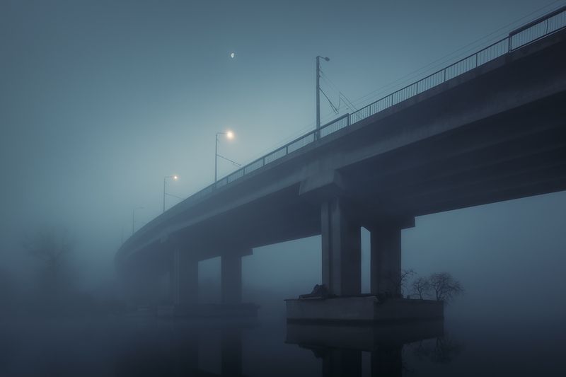 2024-12-20photo preview