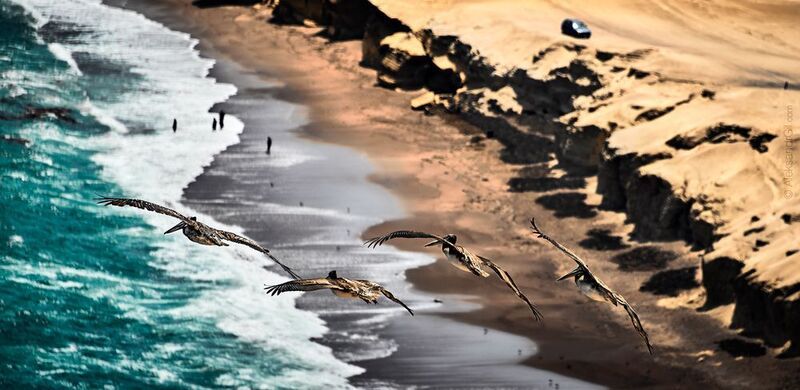 Слои Бытияphoto preview