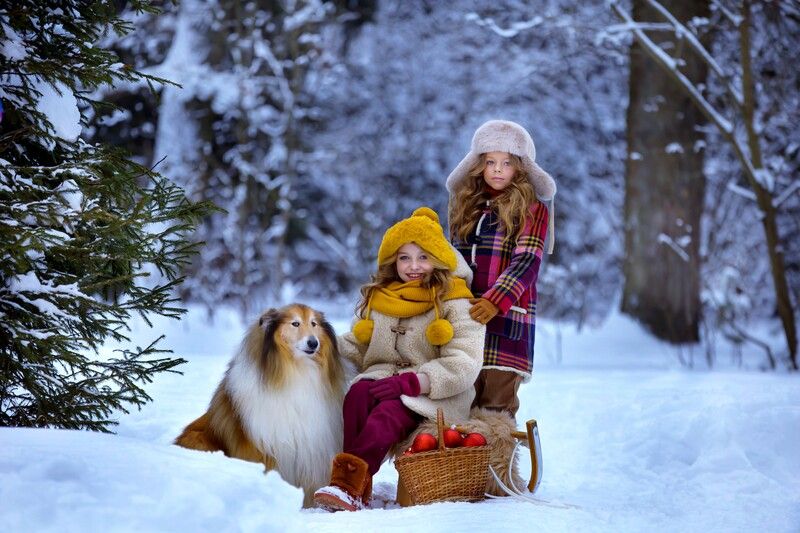 Прогулка фото превью