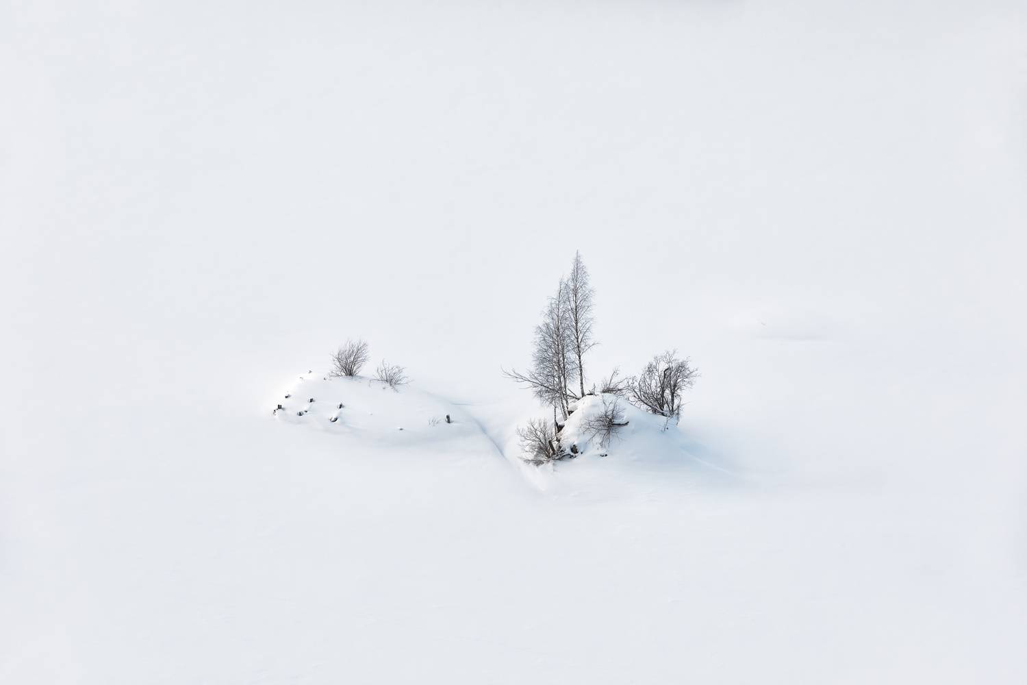 , Константин Маланин