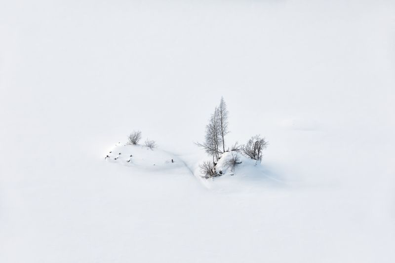 Белое... фото превью
