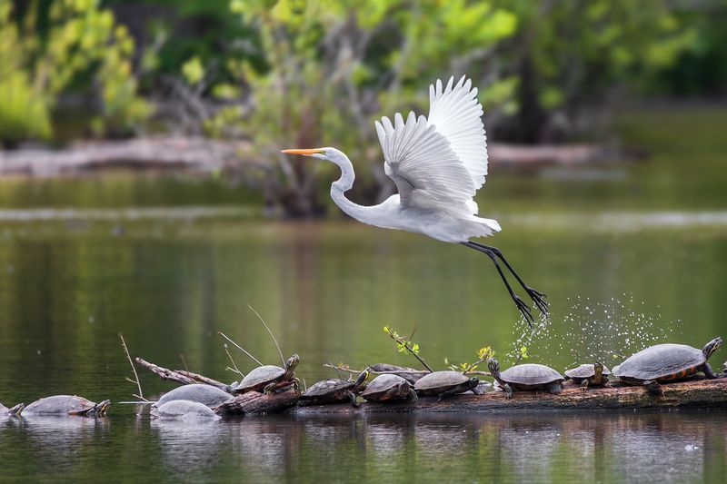 Одна, две, три... фото превью
