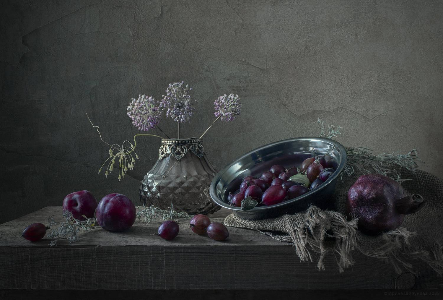 , Шипунова Ирина