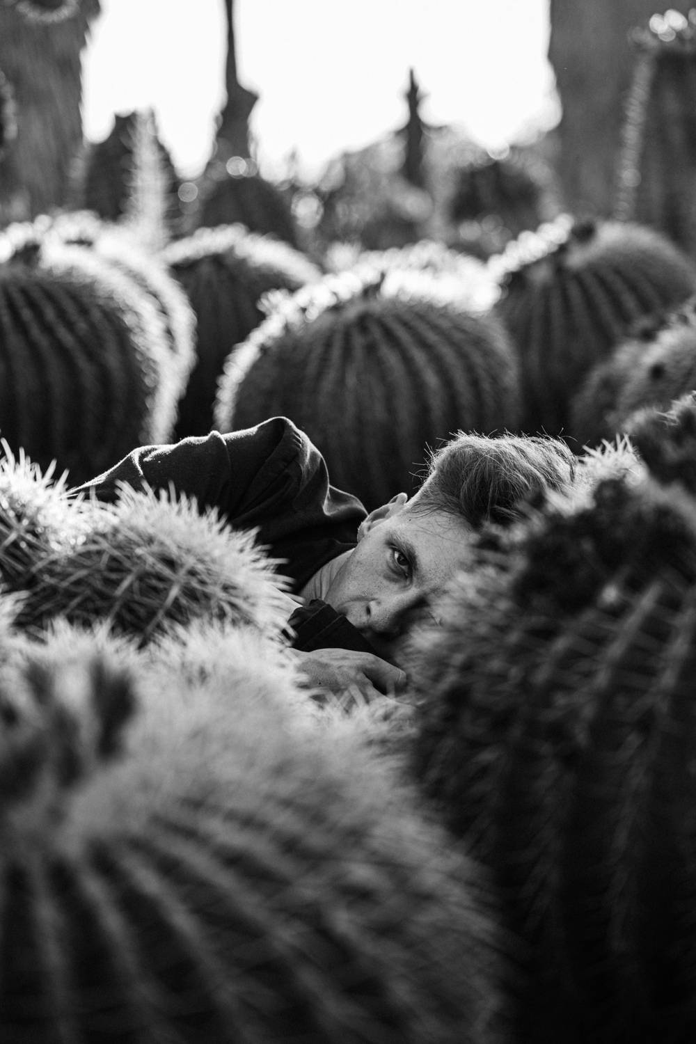 Автор: Щеглова Марина , Щеглова Марина