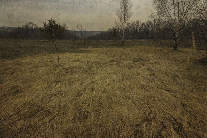 Веснаphoto preview