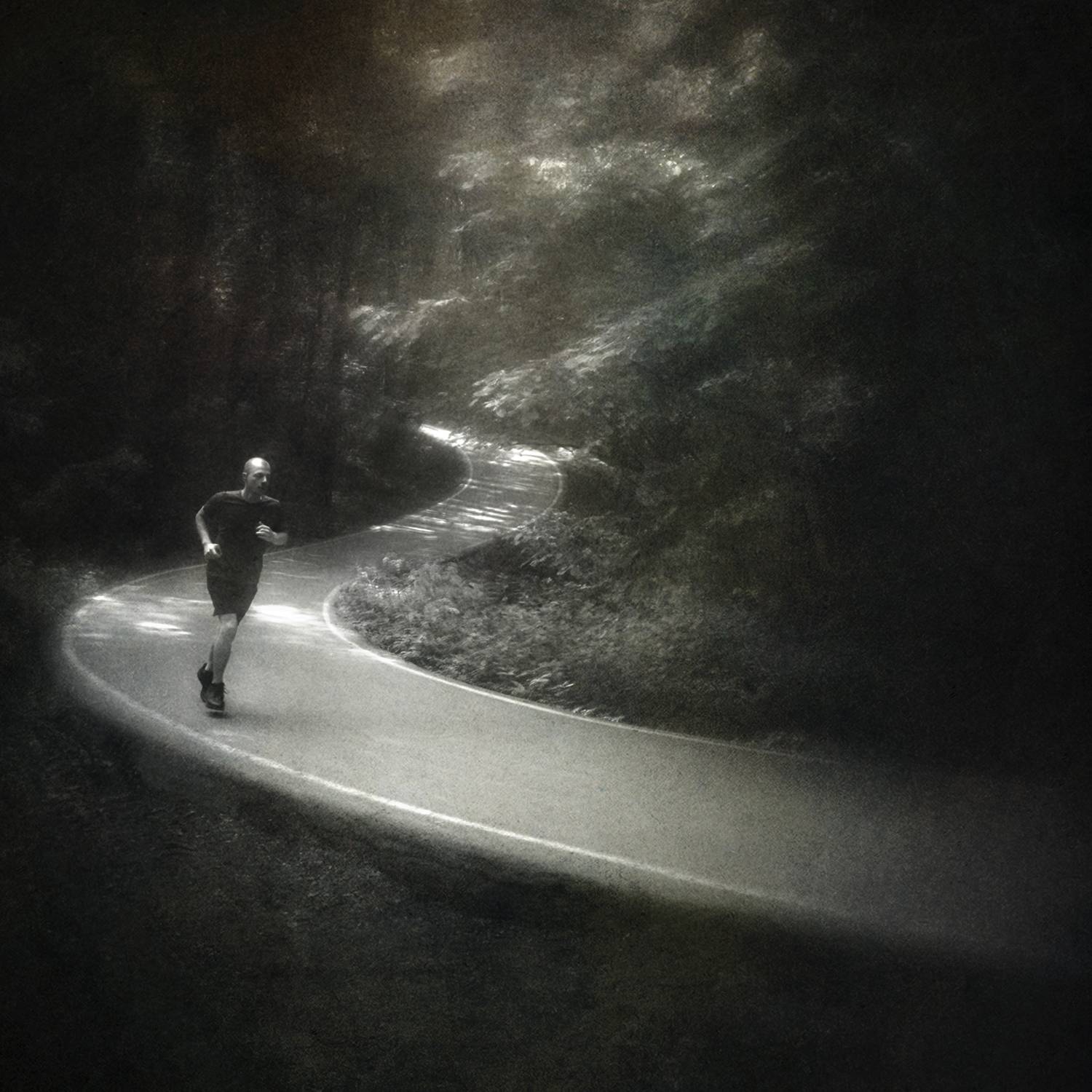 чб, лес, бег, Сергей Кот