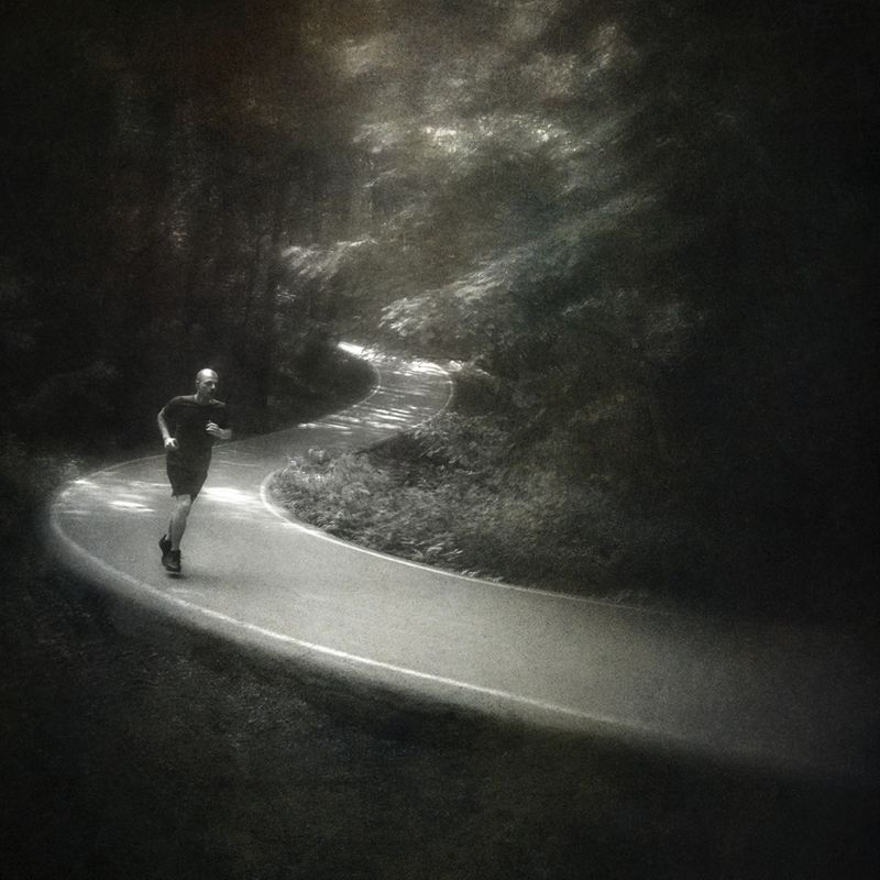 чб, лес, бег Утром.photo preview