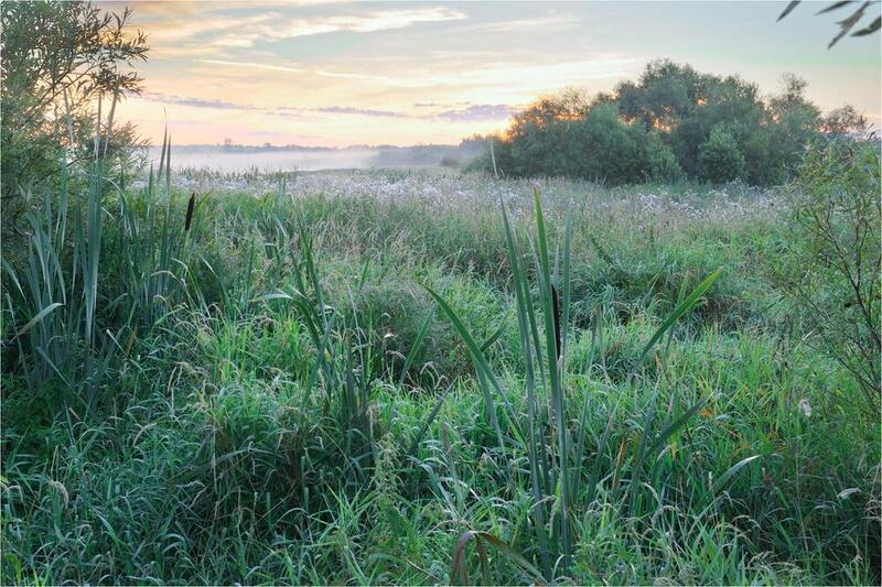 Не просыпайте утроphoto preview