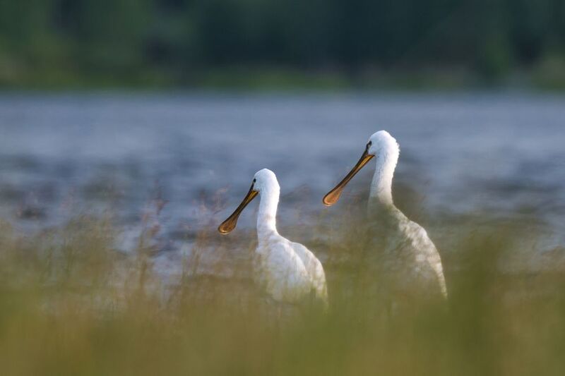Залетные гостиphoto preview