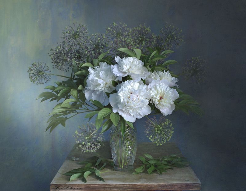 натюрморт, цветы, вера павлухина, пионы , белые Пионов сладкий аромат...photo preview