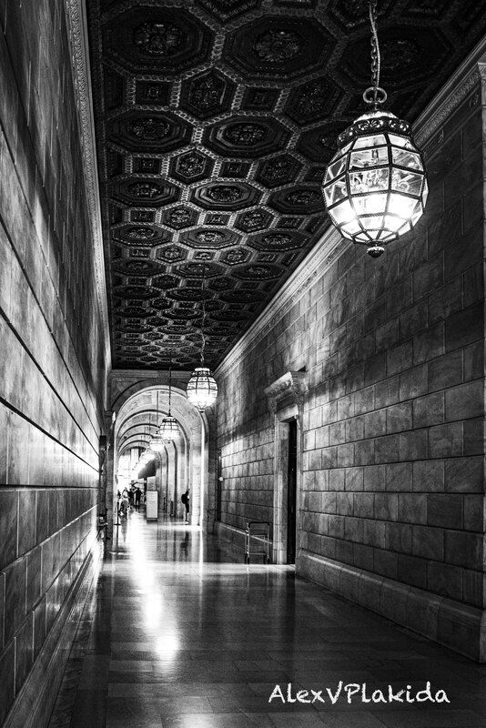 Музей книгphoto preview