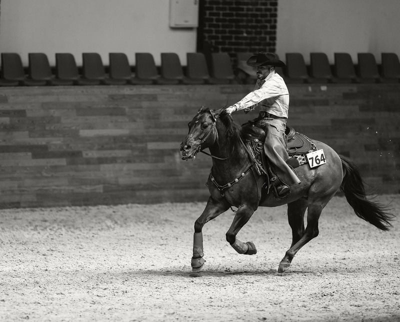 соревнования,вестерн,спорт,репортаж ,horse, competition,movement ,sport Ковбойский вихрь свободы фото превью