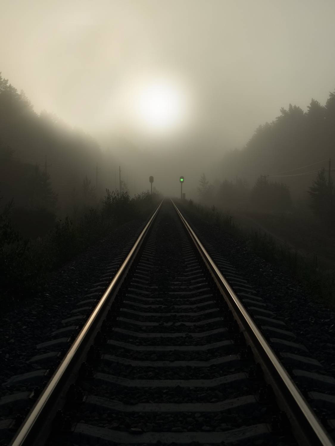 Туманный путь к свету. Автор: Кузнецов Дмитрий , Кузнецов Дмитрий