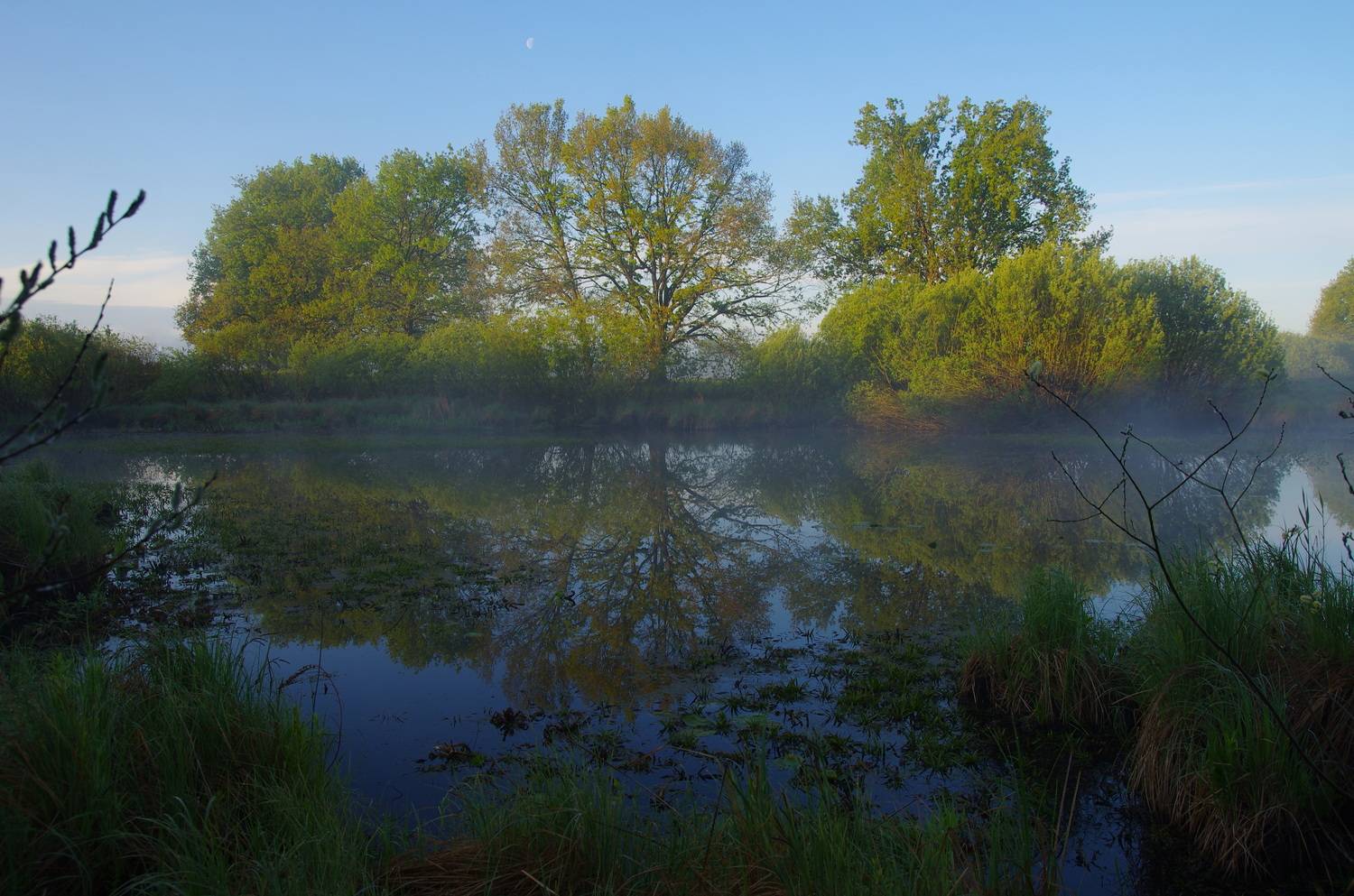 Тихое утро. Автор: Шляга Сергей , Шляга Сергей