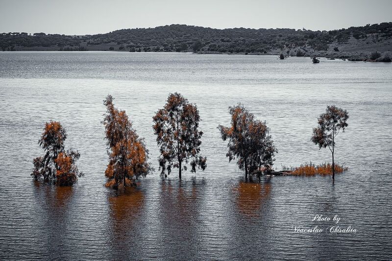 #природа, #живописно, #пейзаж, #тишина, #свежийвоздух, #диканатура, #вода, #природнаямагия, #nature, #greenescape, #hikingadventures, #naturevibes, #earthmood, #sereneviews, #landscape_lovers, #wanderlust, #freshair, #calmplace Одинокие, но вместе...photo preview