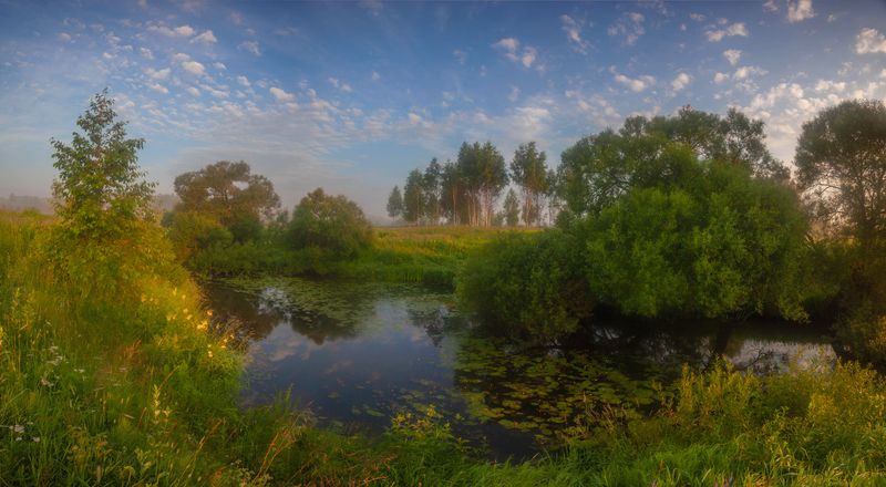 река, туман , лес photo preview