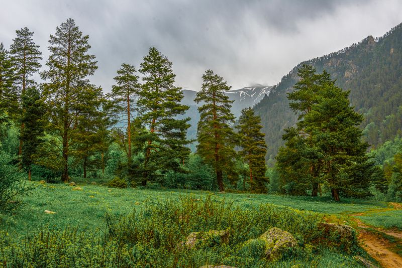 Ущелье реки Чиринкол.КЧР.photo preview