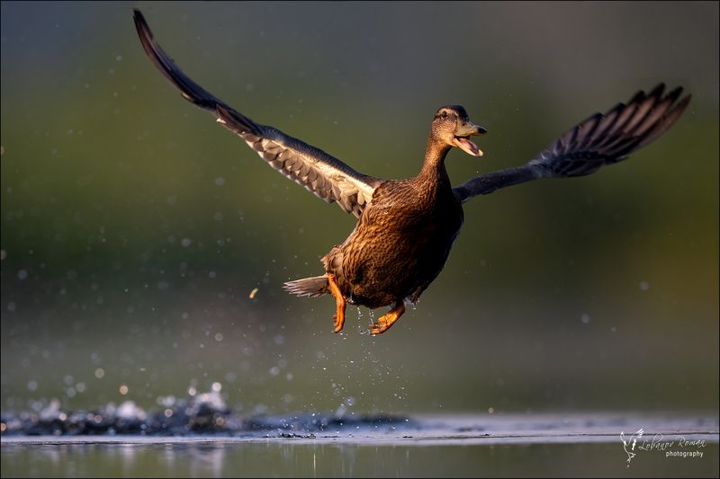 Когда хорошее настроение! фото превью