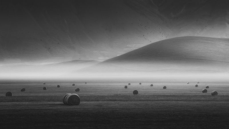 Where Light Sleepsphoto preview