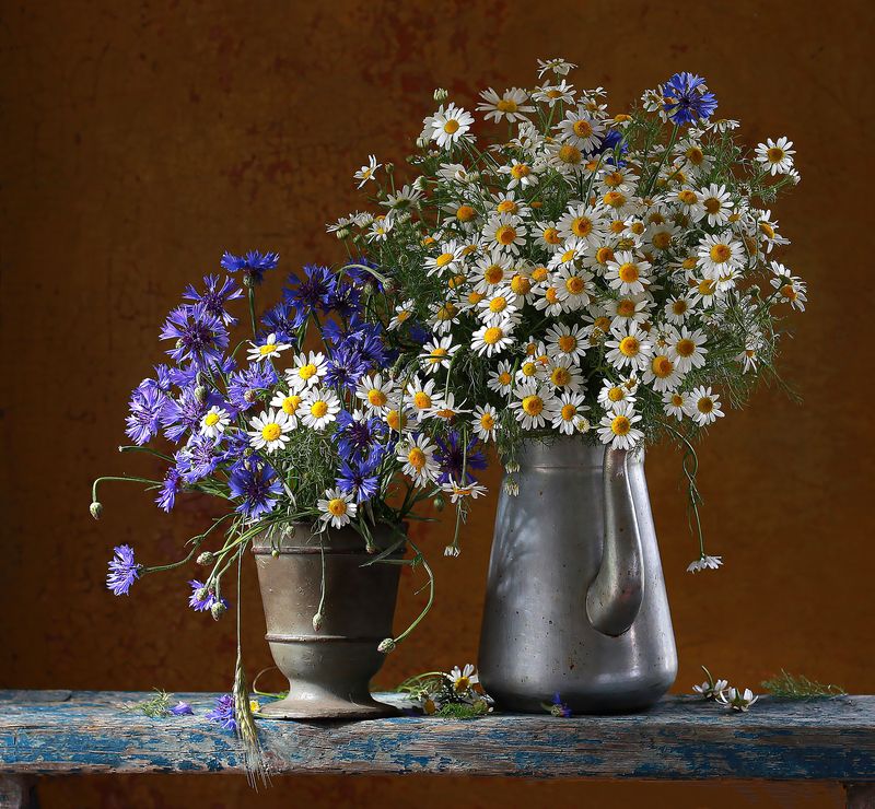 натюрморт, фотонатюрморт, still life, stillifefoto, лето, ромашки, васильки, цветочный_натюрморт, наталья_казанцева Новая жизнь старых вещейphoto preview