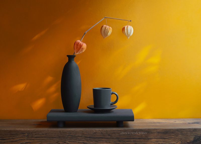 минимализм, физалис, цветной, черно белый, сухоцвет, натюрморт, dried flowers, dried physalis from an empty cup Физалис и чашка..photo preview