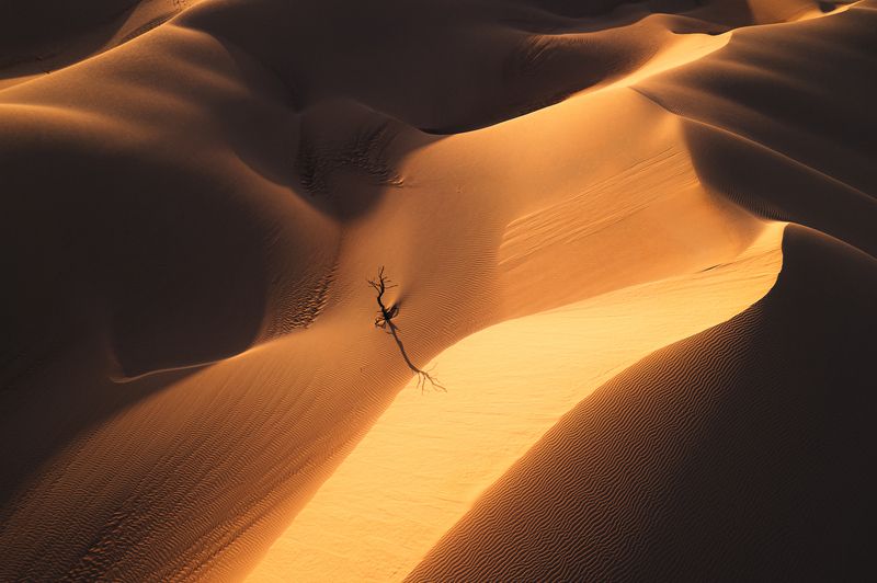 Last...photo preview