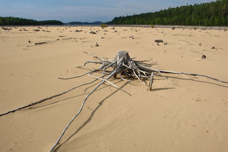 карелия, сегозеро, пляж Пляжphoto preview