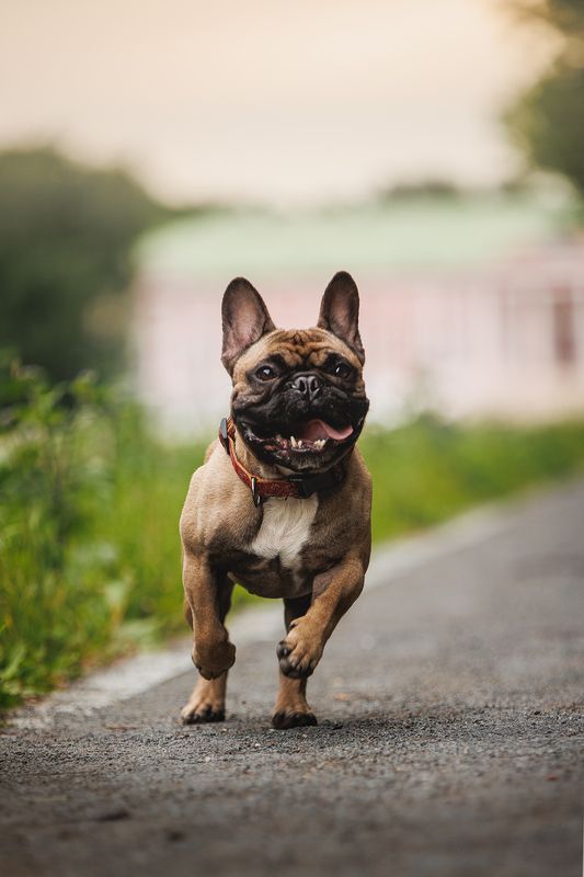 Нильсphoto preview