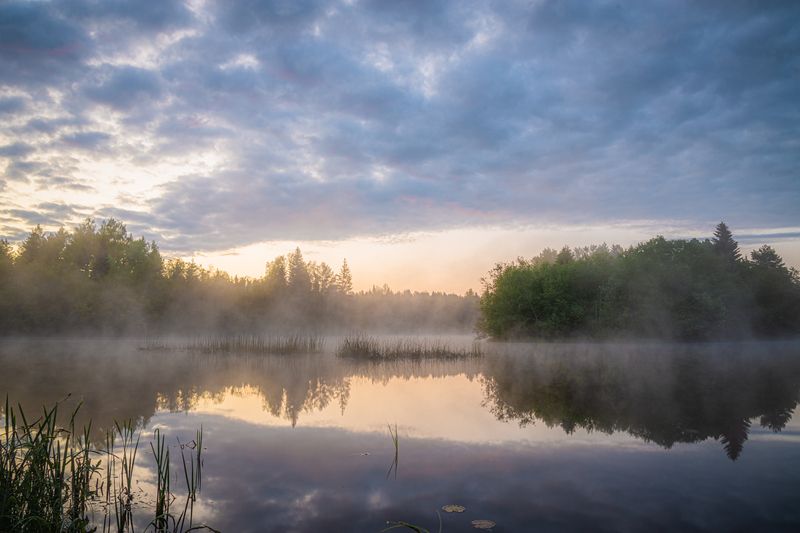 Небольшое озеро в лесу фото превью