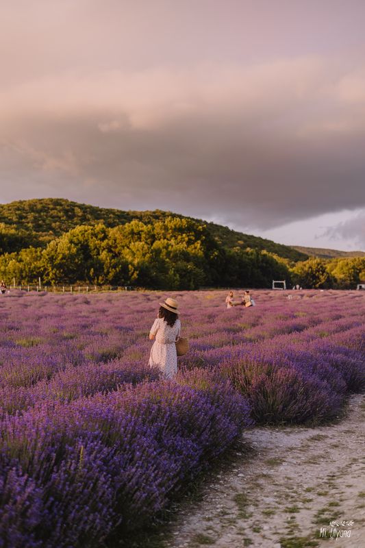Июньский вечер  фото превью