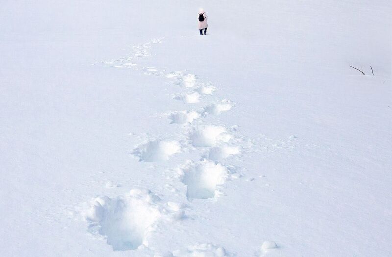 зима, снег, мороз, следы Путь фотографаphoto preview