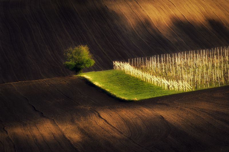 Spring in South Moraviaphoto preview