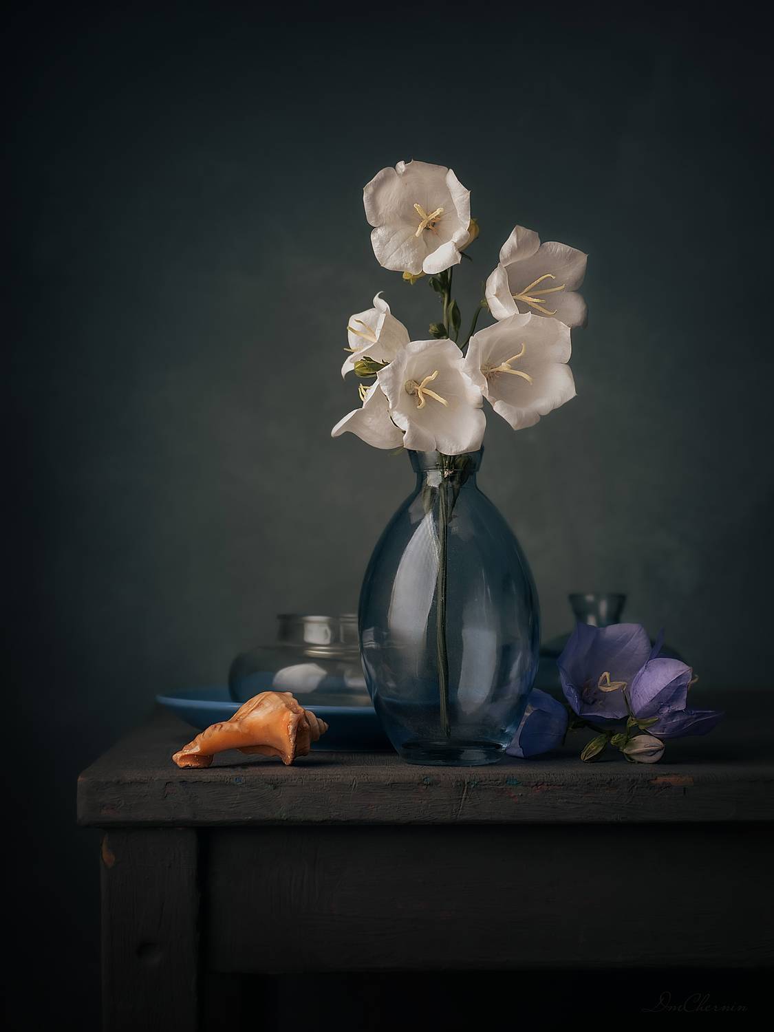 , Чернин Дмитрий