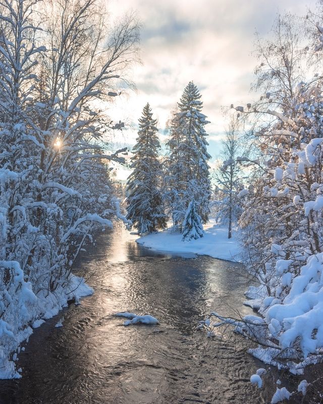 Февральское солнцеphoto preview