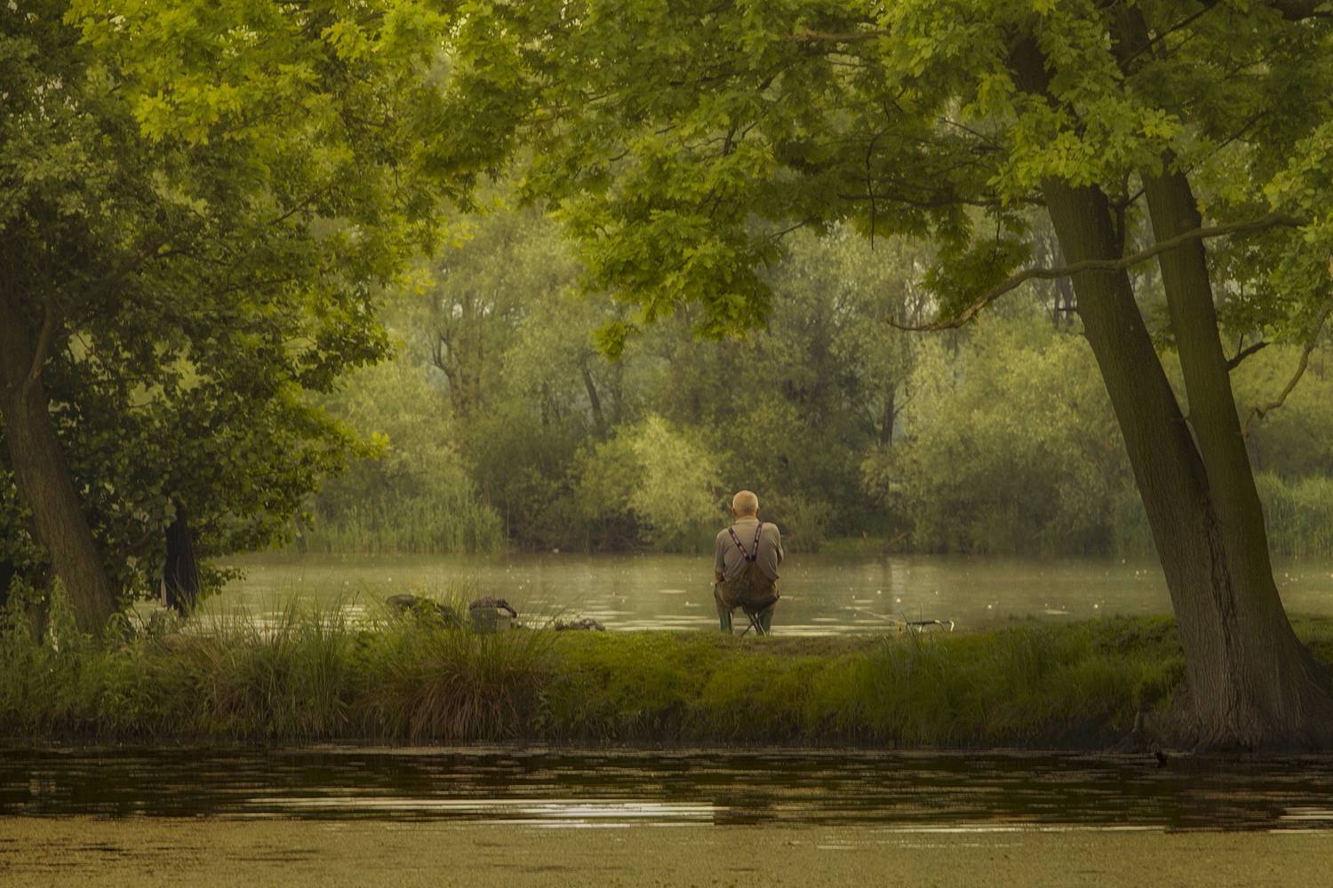 Photography, Tree, Water, Forest, Landscape, Day, Nature, Damian Cyfka