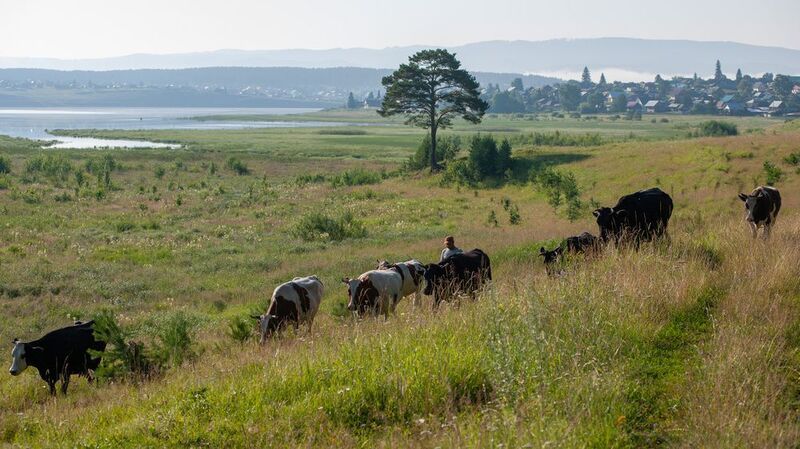 обыденное утроphoto preview