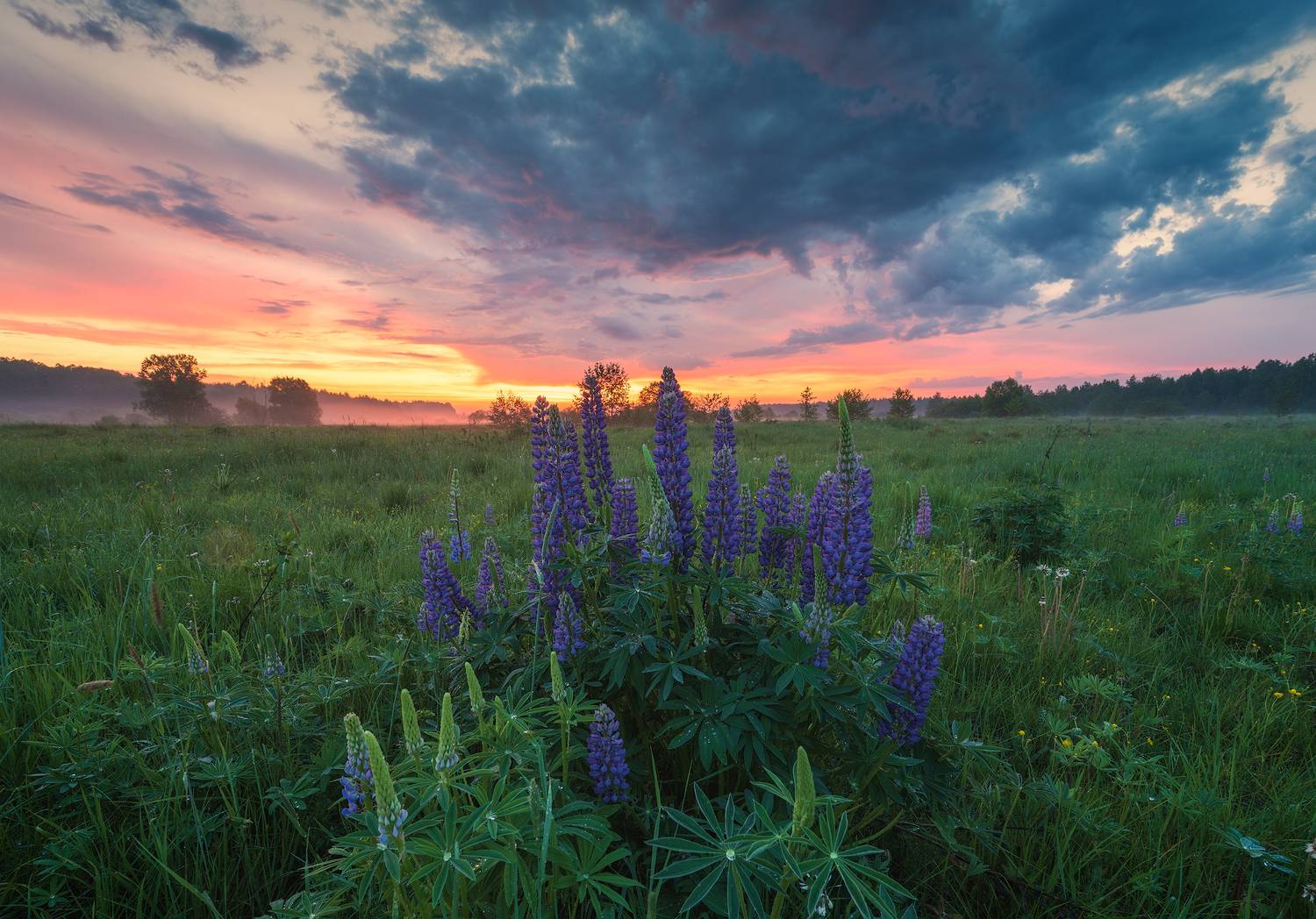***. Автор: Виталий Левыкин , Виталий Левыкин