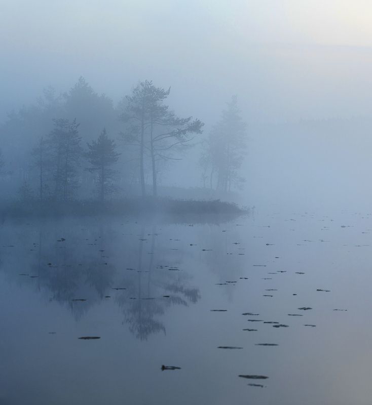 болото, карелия, туман, утро, рассвет, фототур Утро на озере фото превью