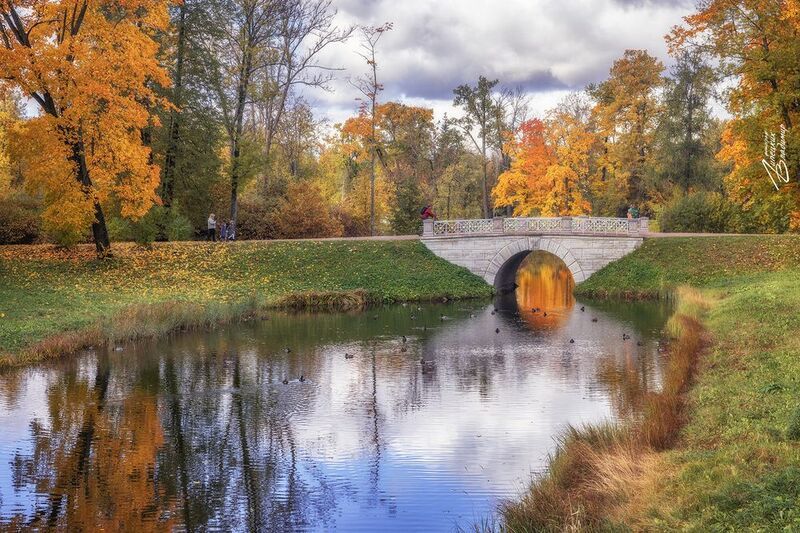 санкт-петербург, осень, парки, александровский парк, шапельный пруд По осенним паркам Санкт-Петербурга.photo preview