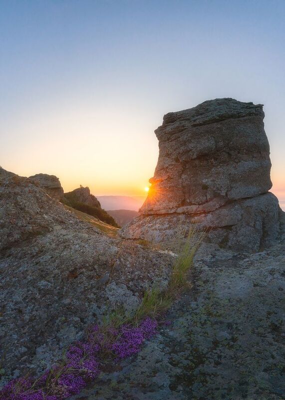 Цветы и камниphoto preview