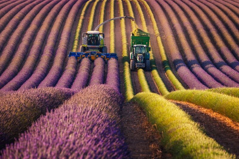 Provencephoto preview