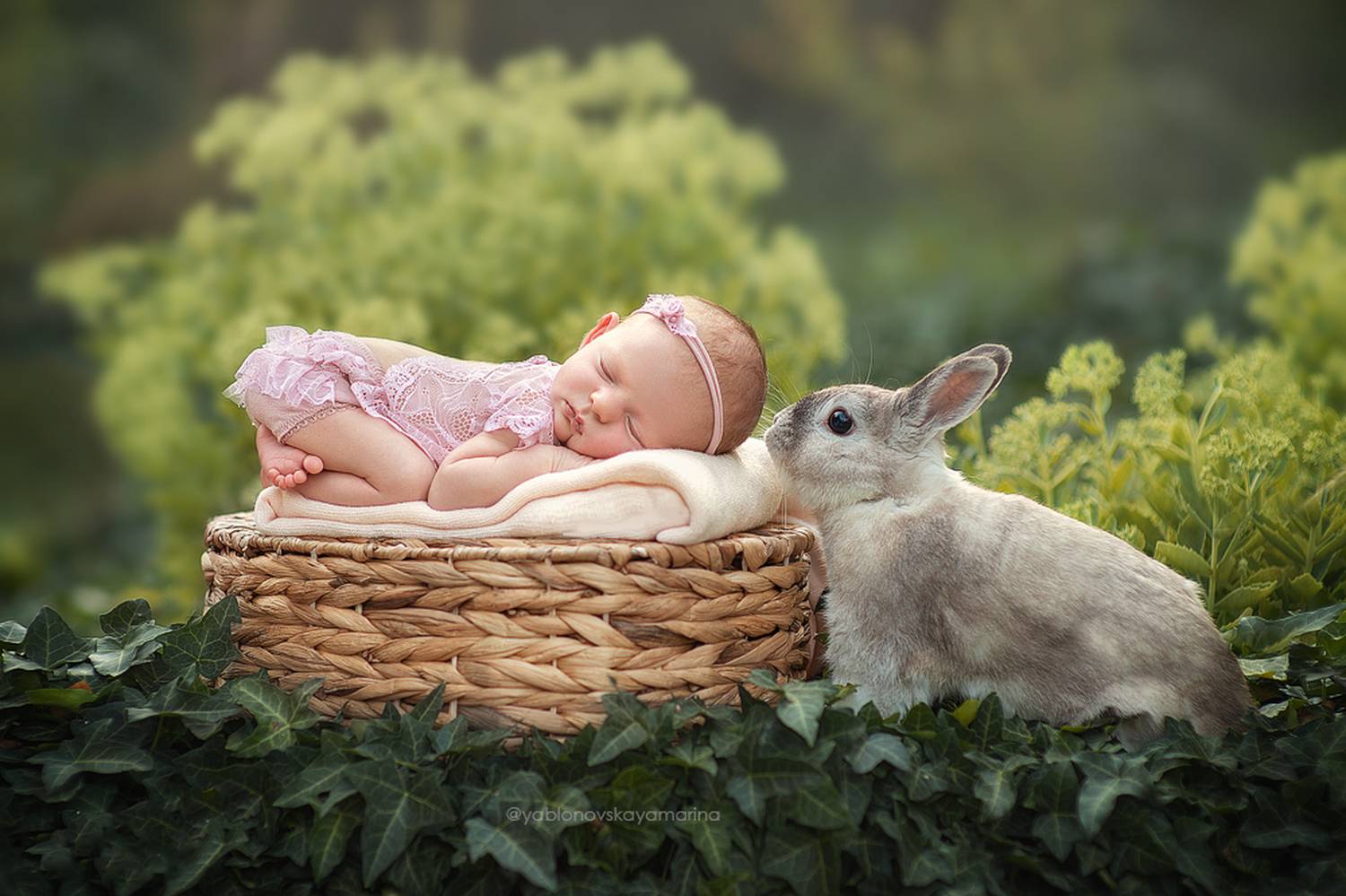 Автор: Яблоновская Марина , Яблоновская Марина