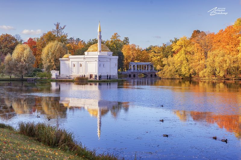 санкт-петербург, екатерининский парк. По осенним паркам Санкт-Петербурга.photo preview
