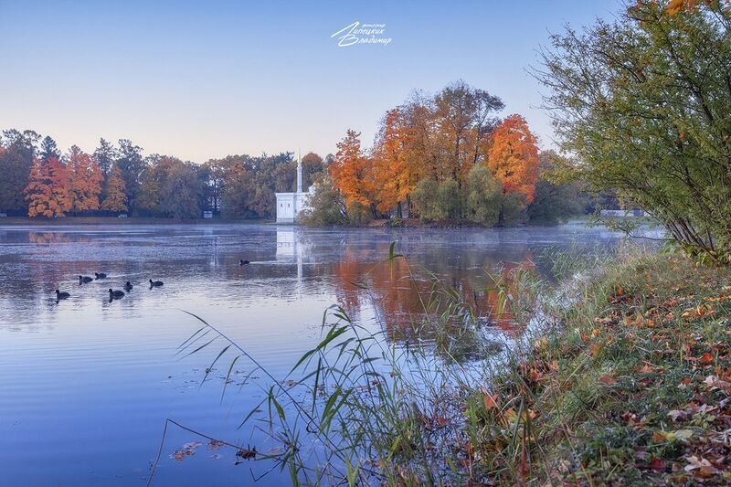 санкт-петербург, екатерининский парк, осень, утро Утро в Екатерининском паркеphoto preview