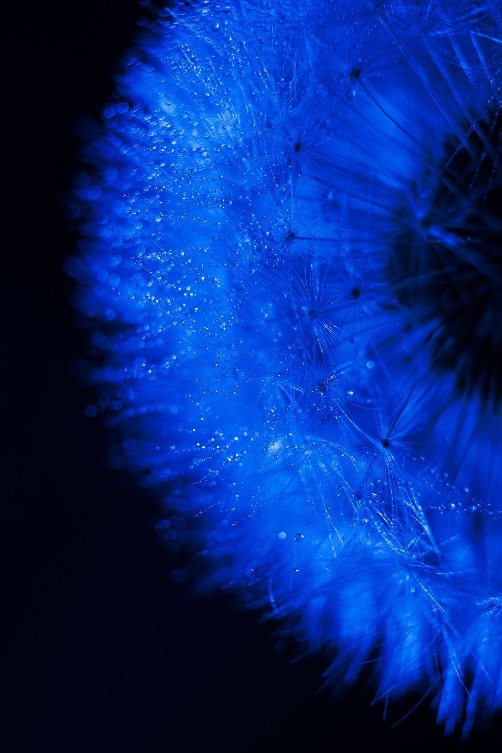 , Войнов Дмитрий