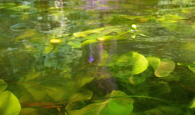 На реке......photo preview