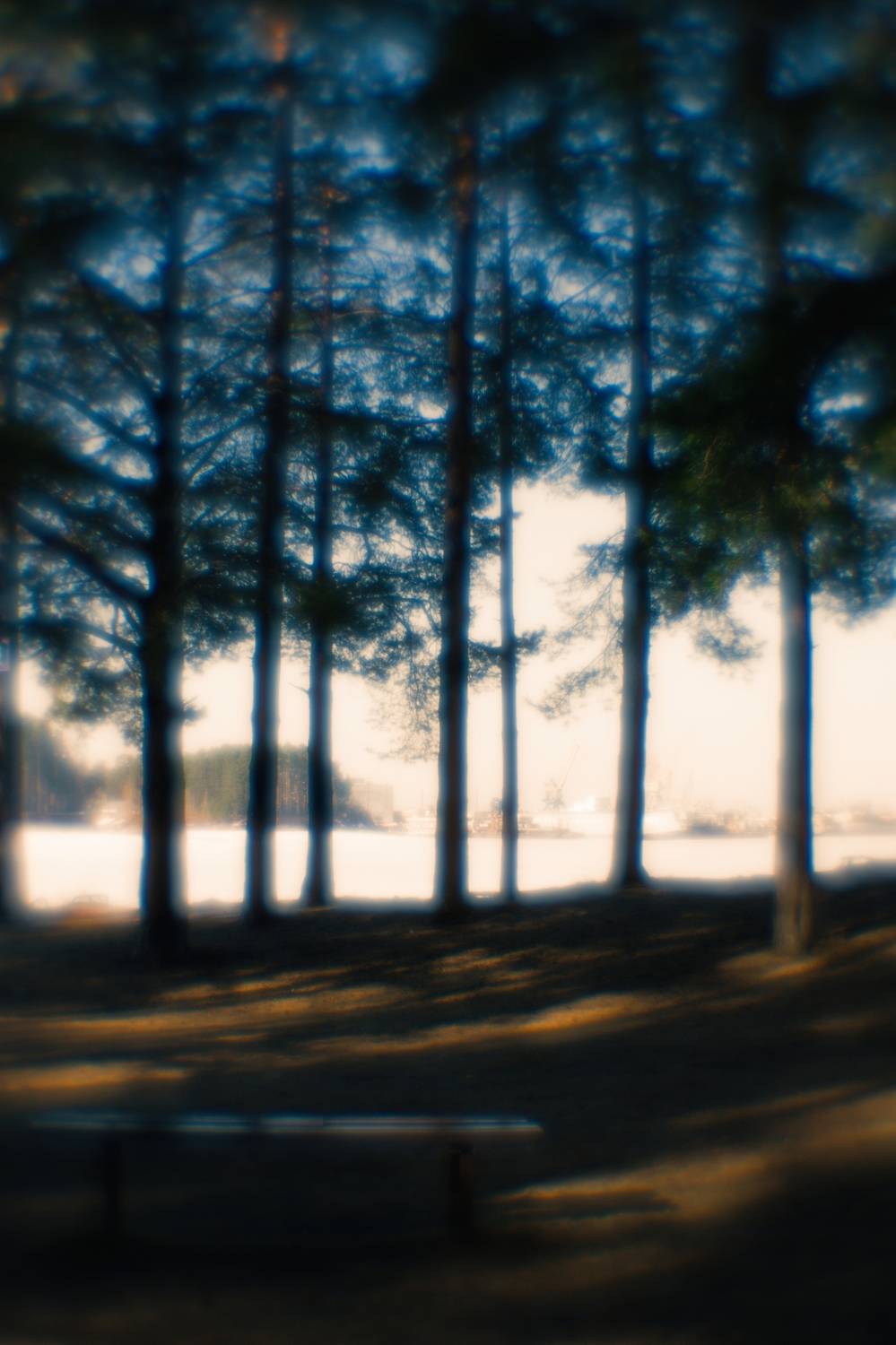 , Таня Смолевская