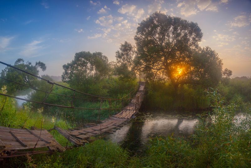 лето , река , туман Летнее утро .photo preview