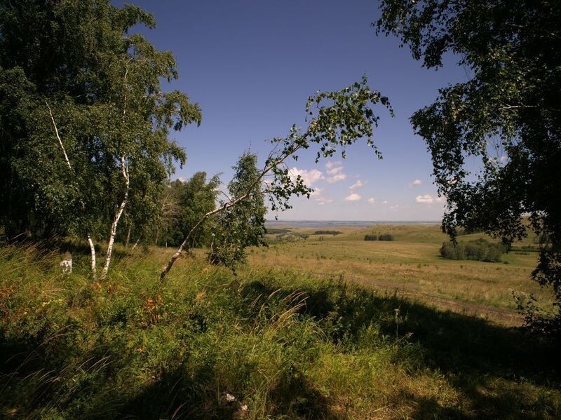 июльскоеphoto preview